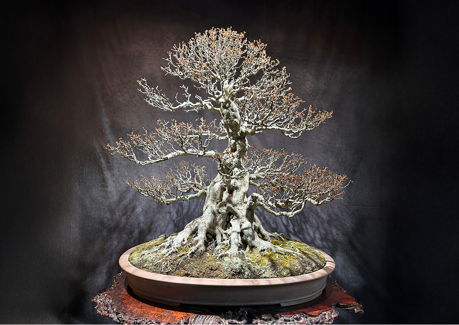 Consulting Hero Slide